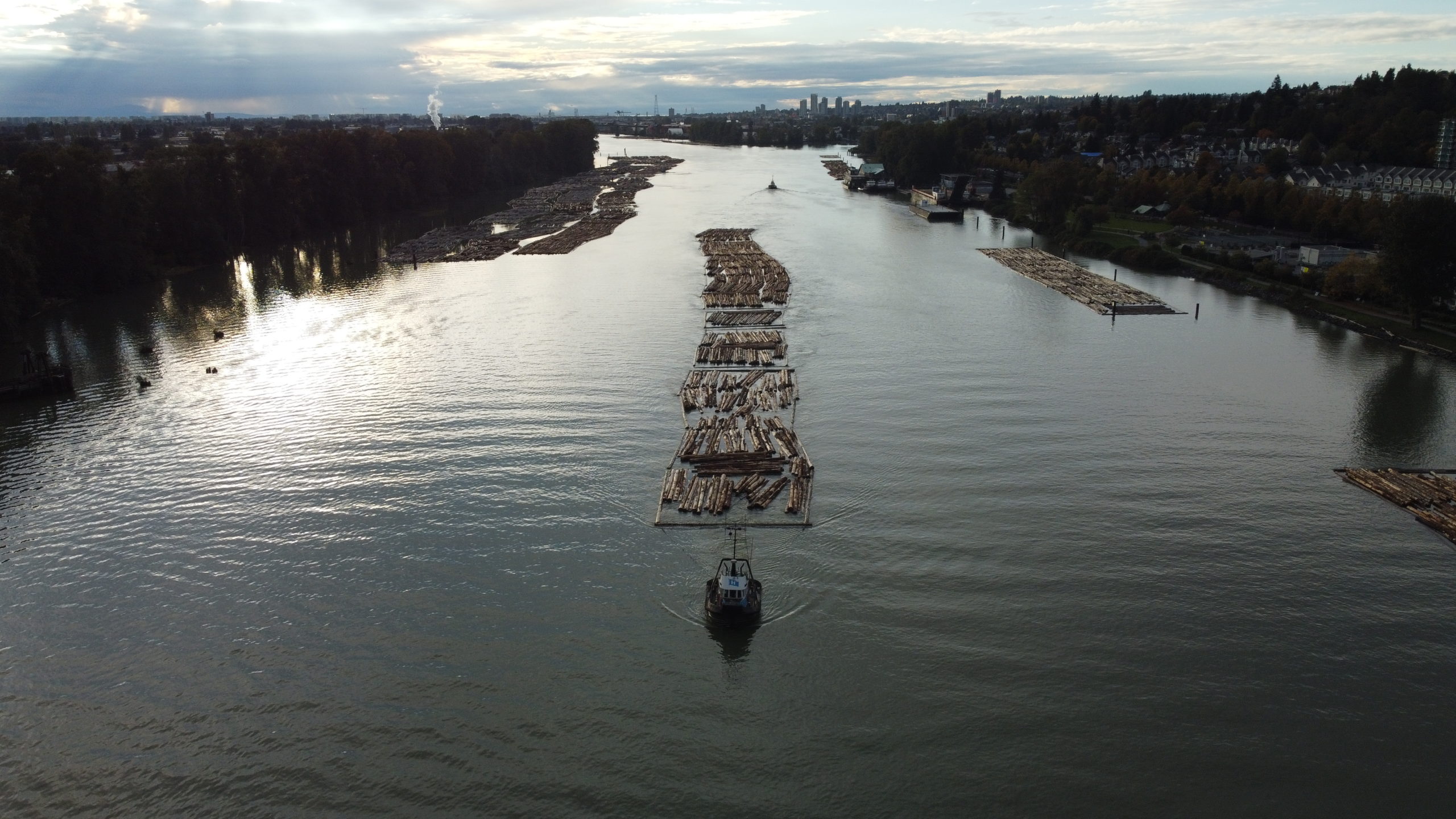 FORESTRY 3 DJI 0127 scaled