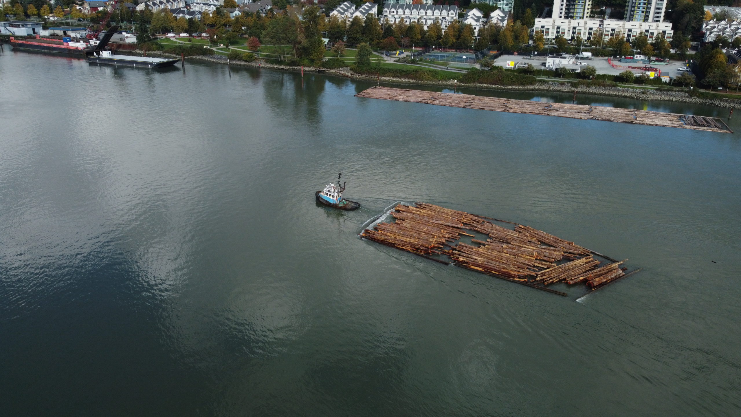 FORESTRY 1 DJI 0137 scaled