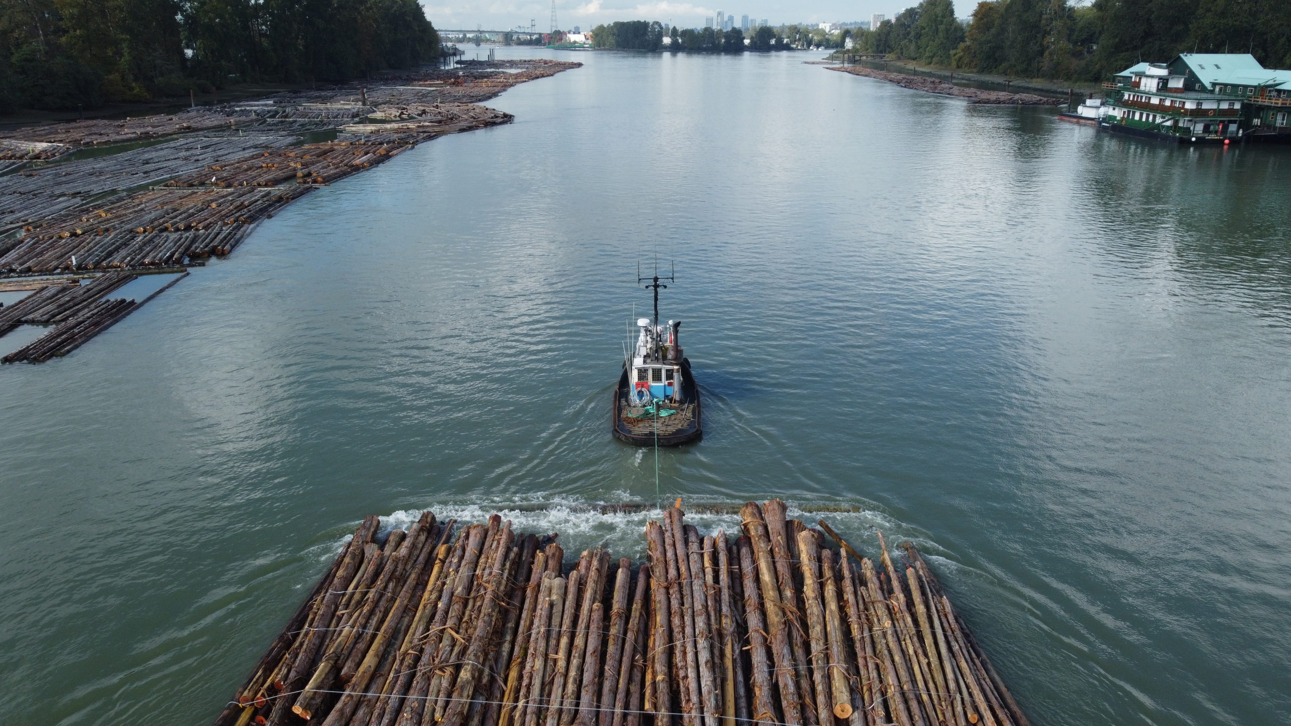 FORESTRY 2 DJI 0138 scaled