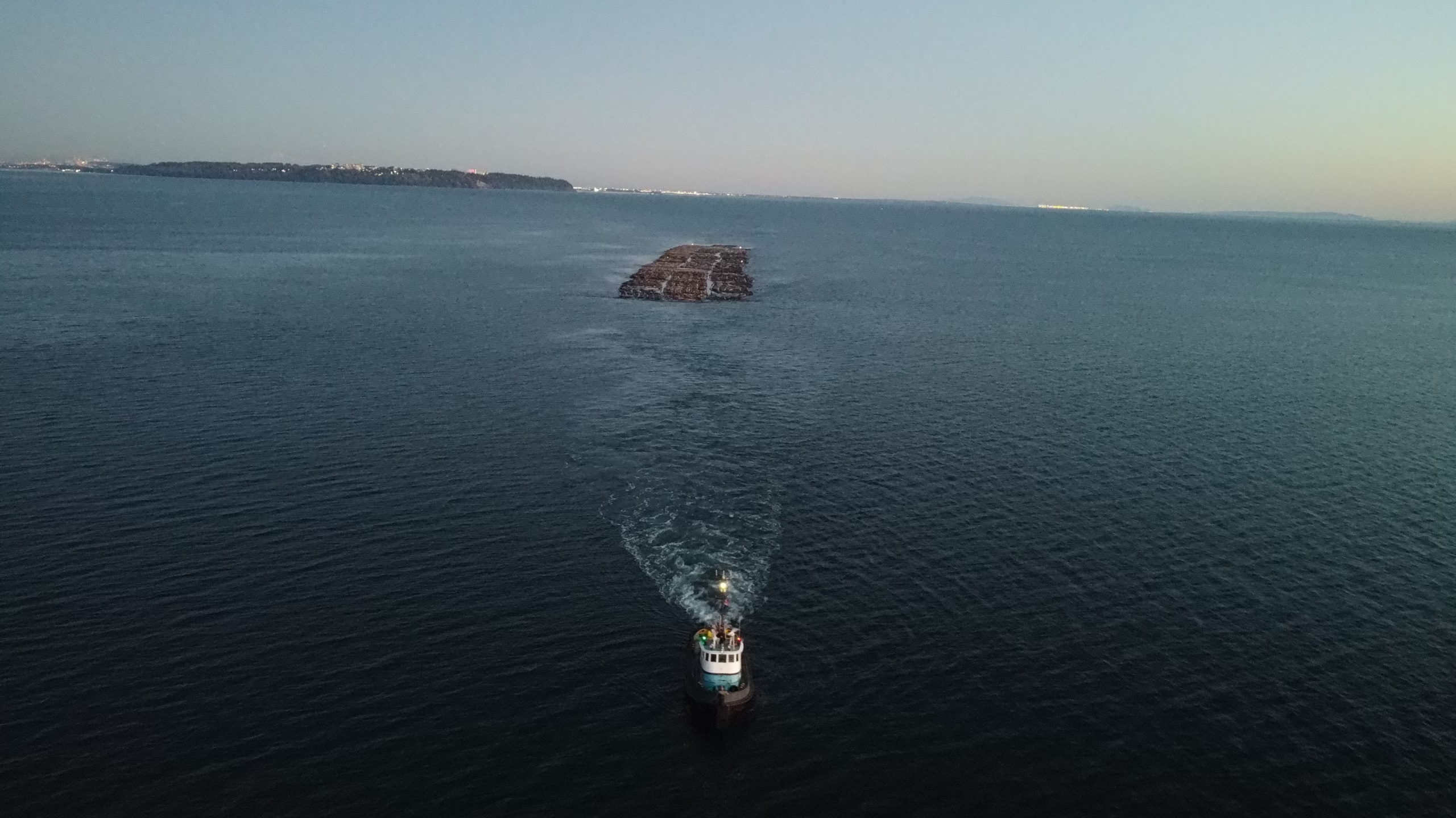 FORESTRY 15 DJI 0186 scaled