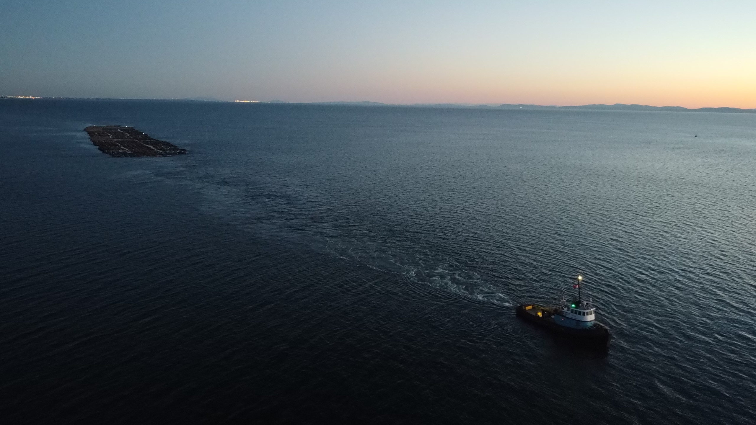 FORESTRY 7 DJI 0189 scaled