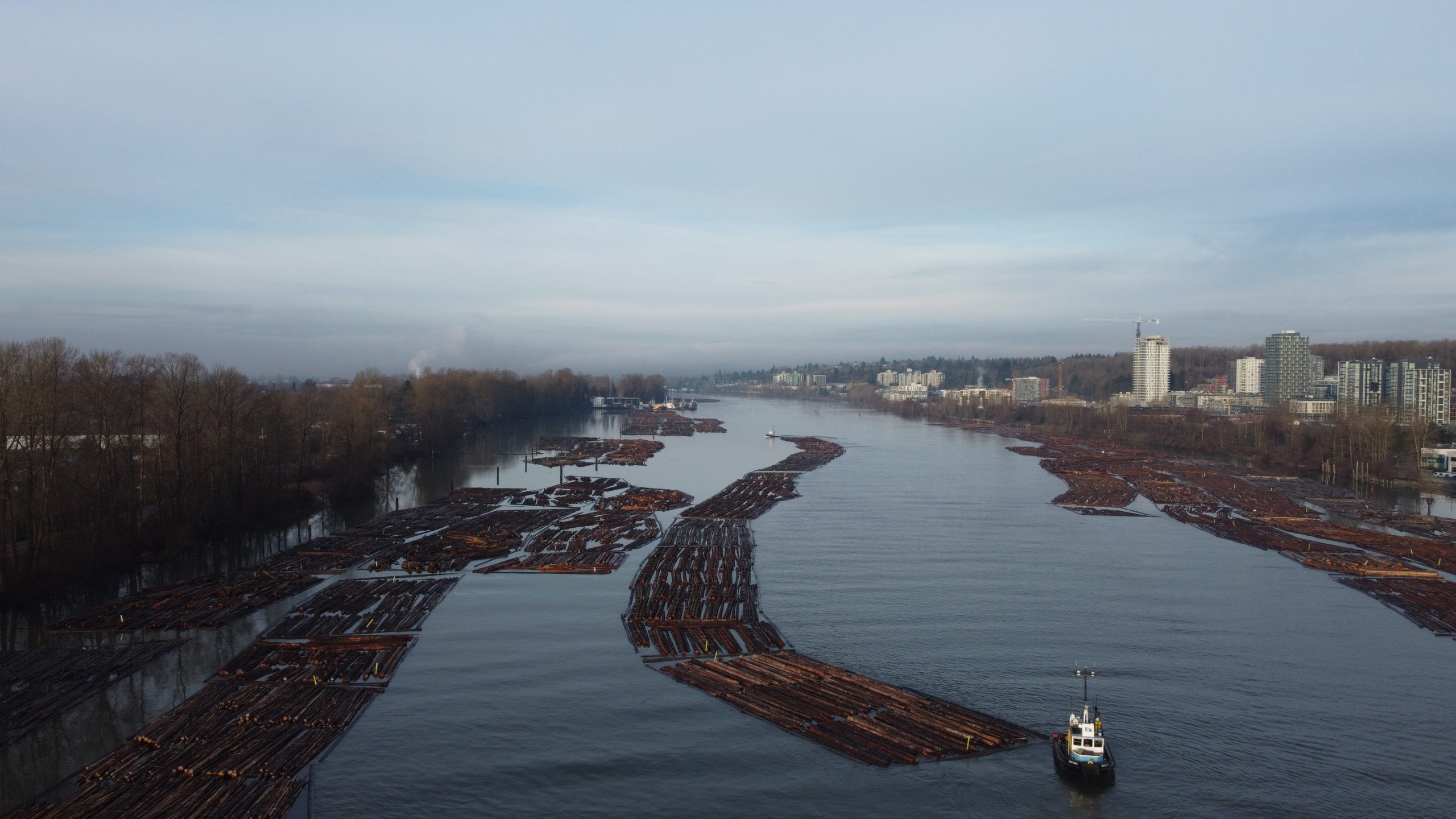 FORESTRY 8 DJI 0535 scaled