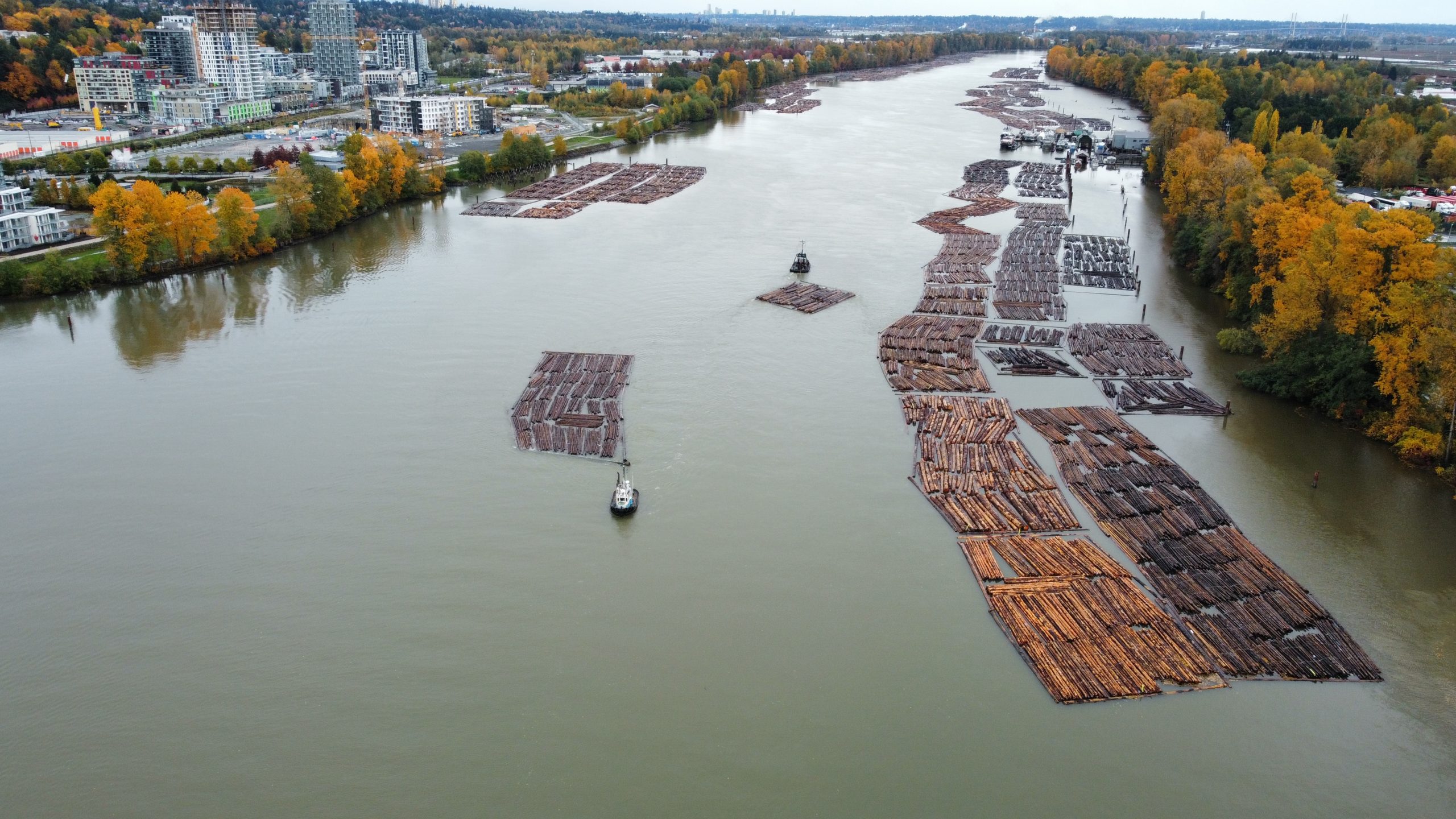 FORESTRY 5 Photo 6553778 DJI 178 jpg 4396783 0 20211024155710 photo original ltm scaled