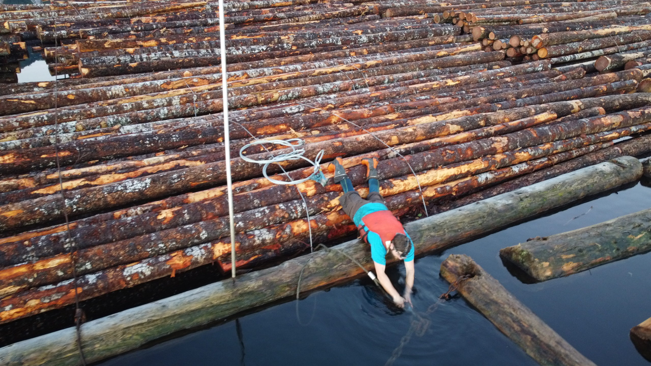 FORESTRY 16 Photo 6553794 DJI 194 jpg 4137525 0 202111175646 photo original scaled