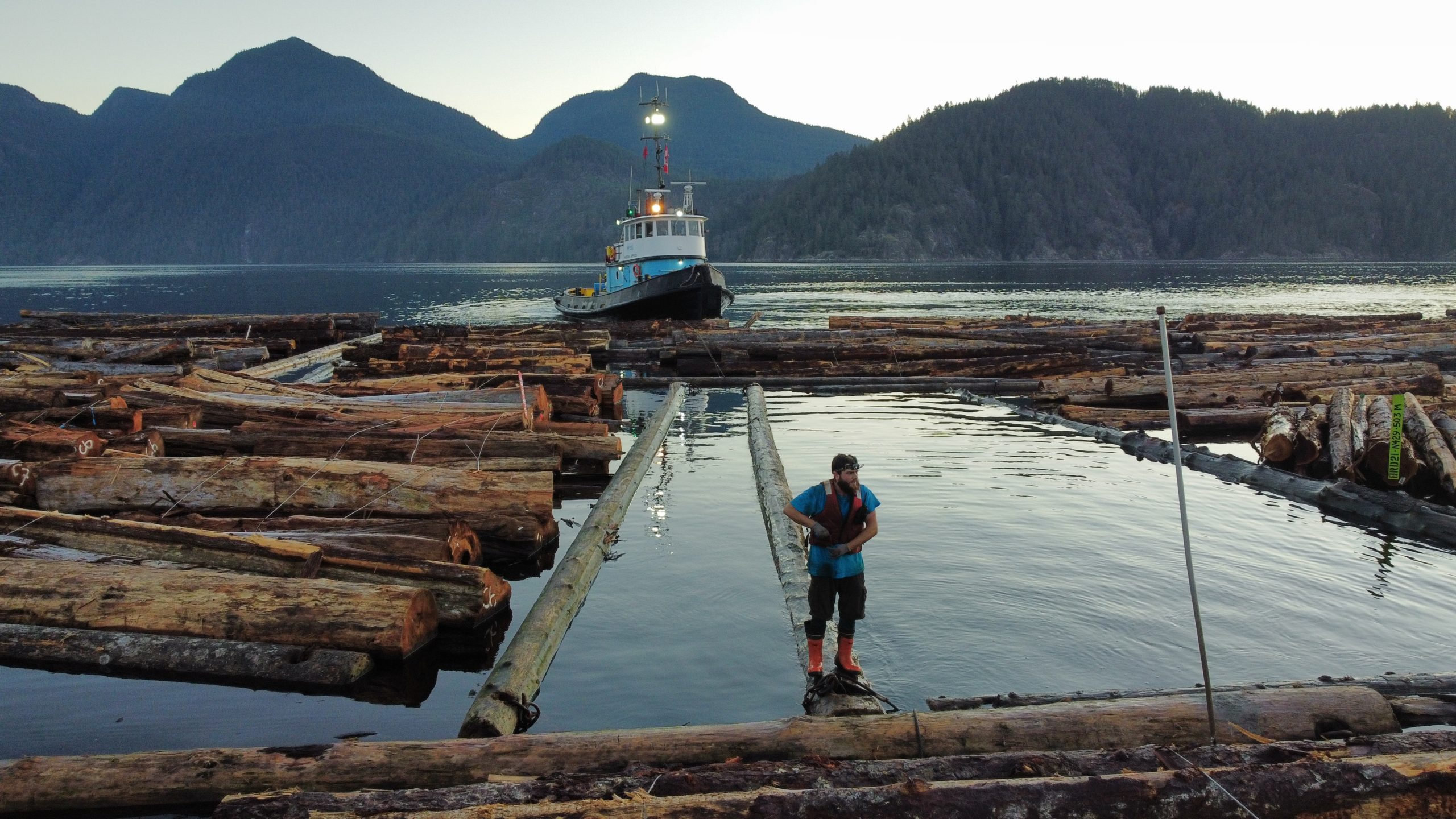 FORESTRY 12 Photo 6553817 DJI 217 jpg 4685281 0 20211118738 photo original ltm scaled