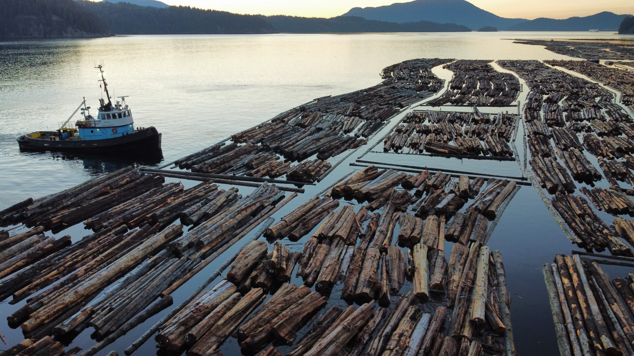 FORESTRY 13 Photo 6553821 DJI 221 jpg 4126671 0 20211118838 photo original ltm scaled