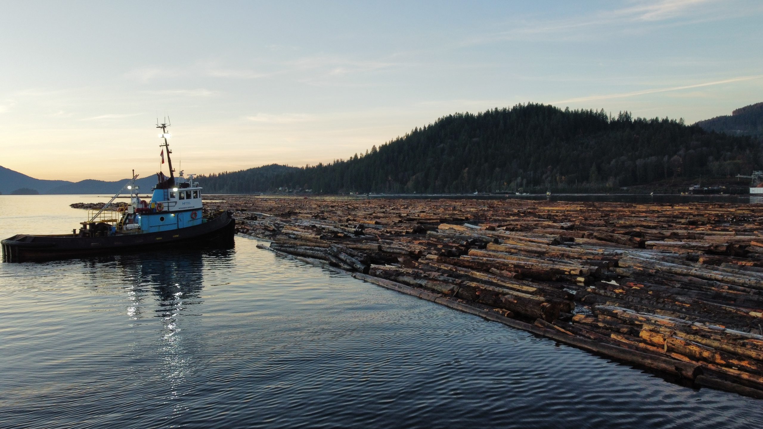 FORESTRY 9 Photo 6553825 DJI 225 jpg 4370895 0 20211118938 photo original ltm scaled