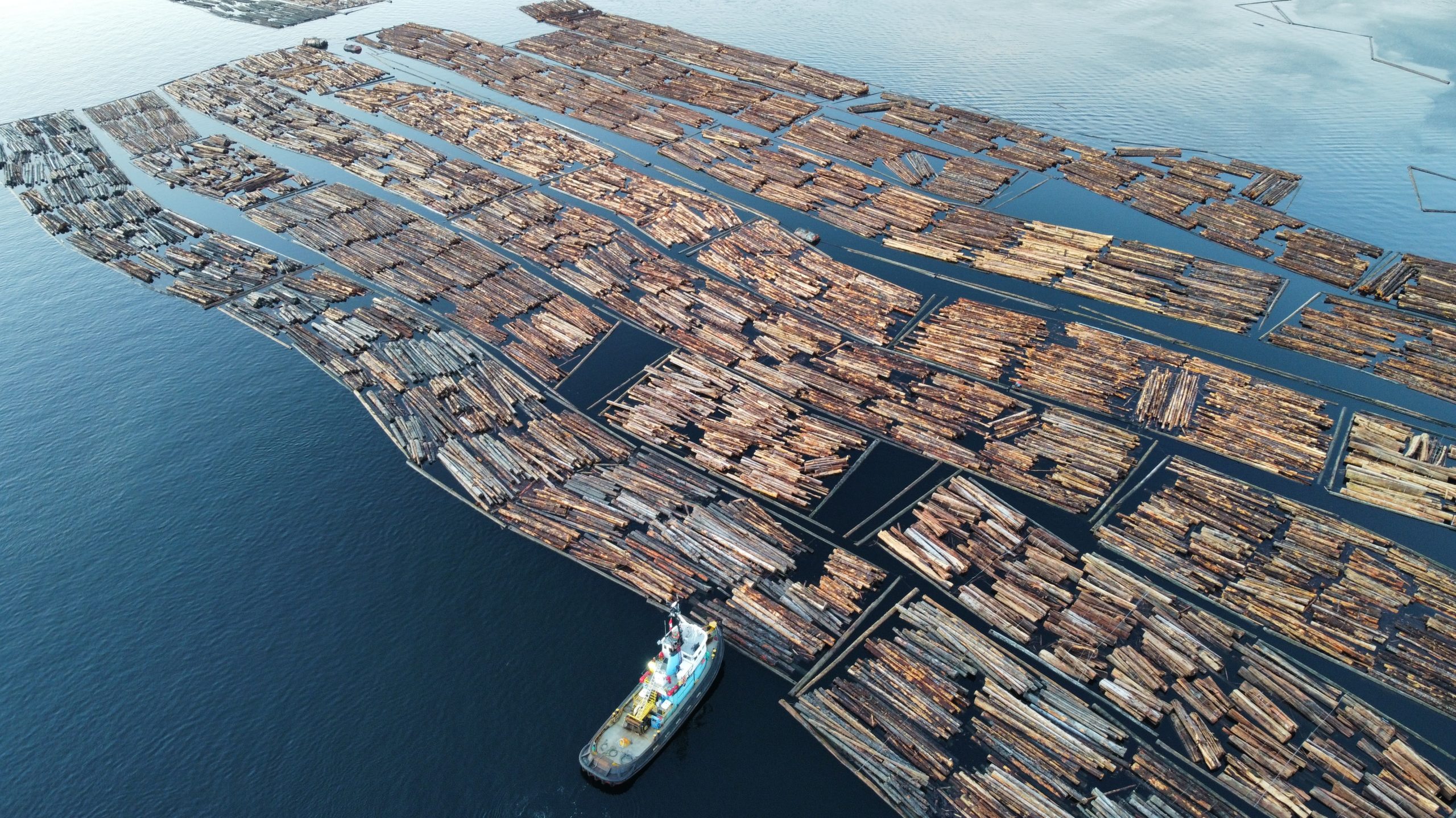 FORESTRY 11 Photo 6553831 DJI 231 jpg 4194082 0 202111181116 photo original ltm scaled