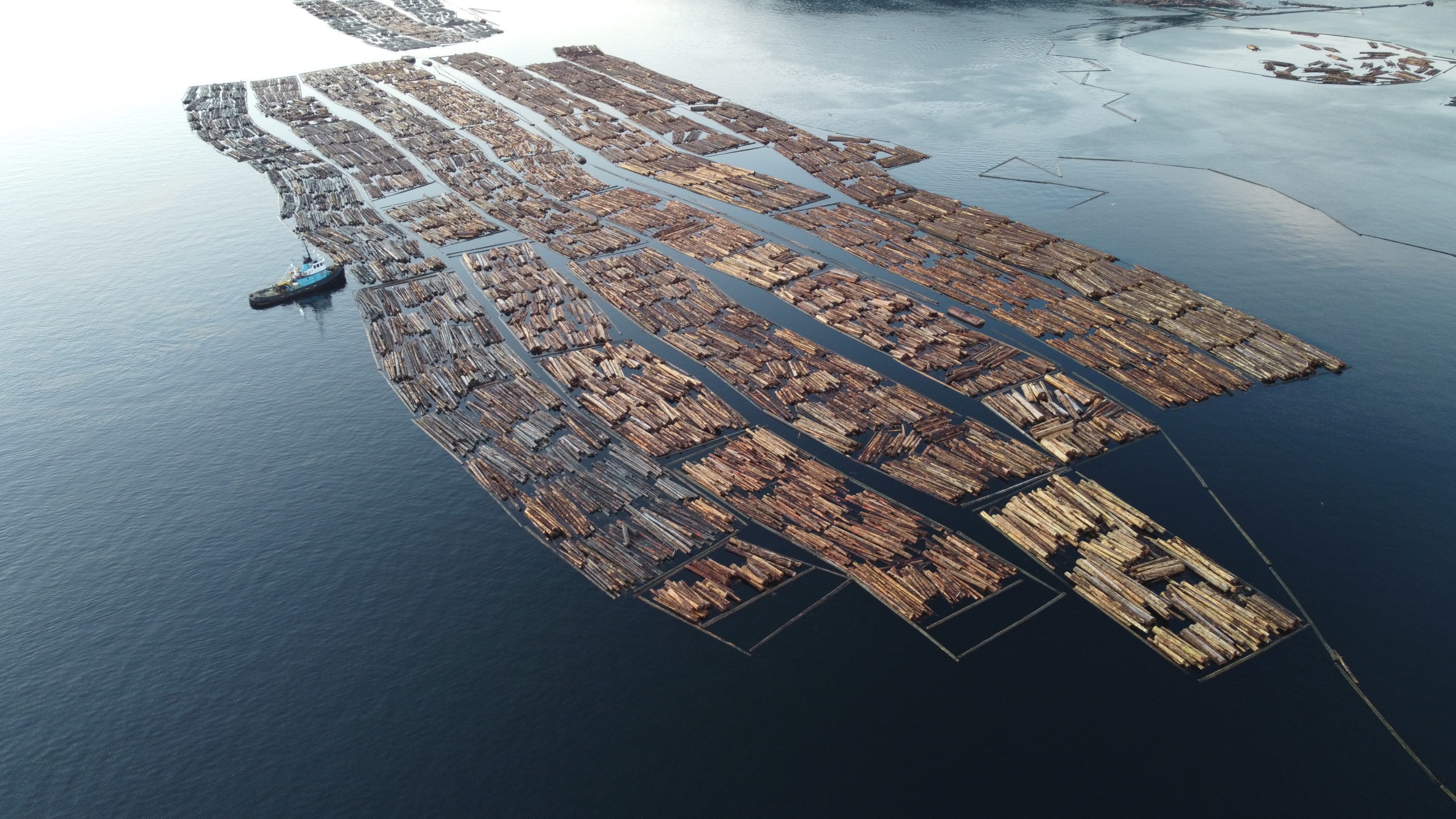 FORESTRY 14 Photo 6553833 DJI 233 jpg 4080726 0 202111181142 photo original scaled