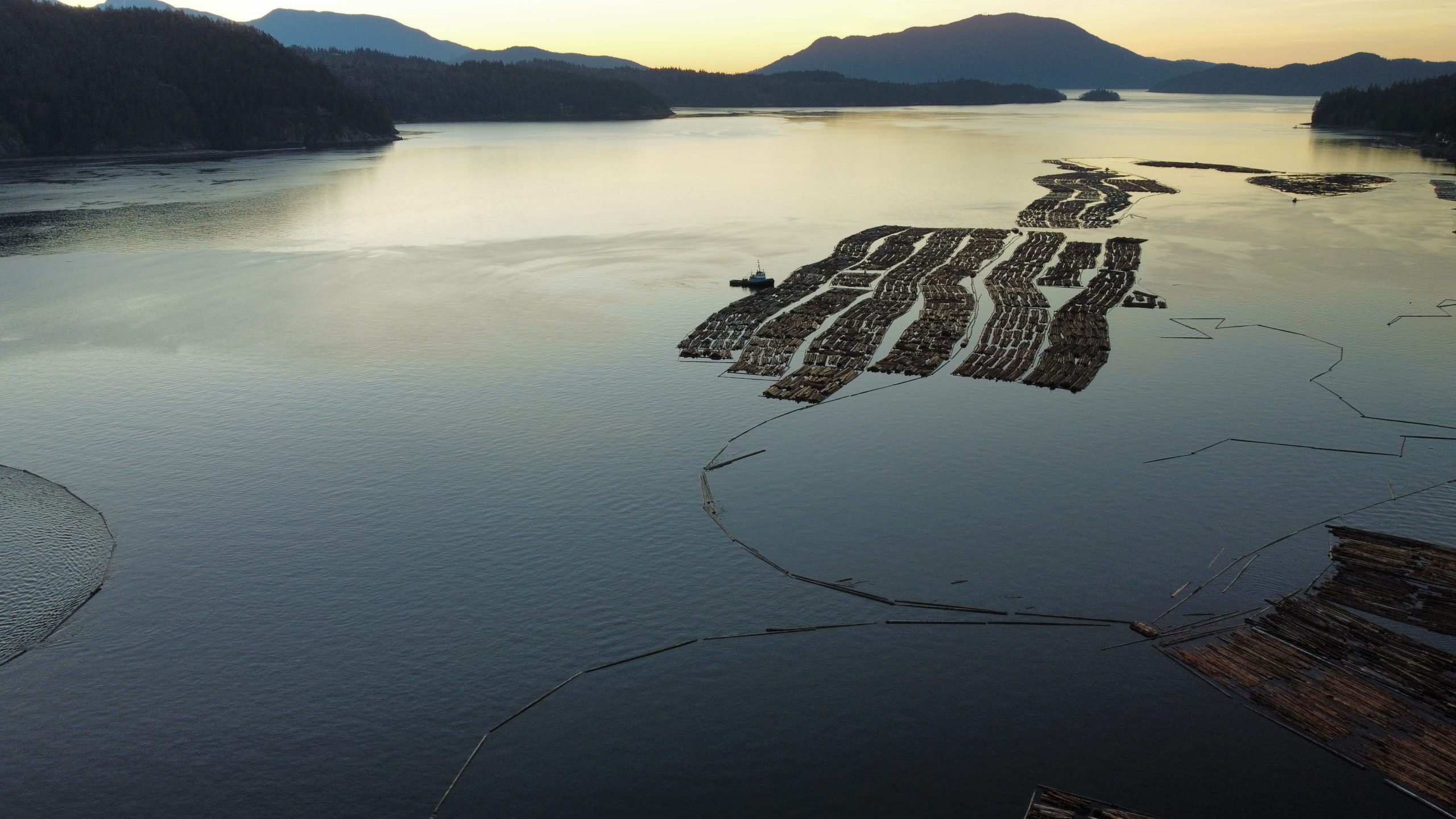 FORESTRY 10 Photo 6553837 DJI 237 jpg 4765617 0 20211118138 photo original ltm scaled