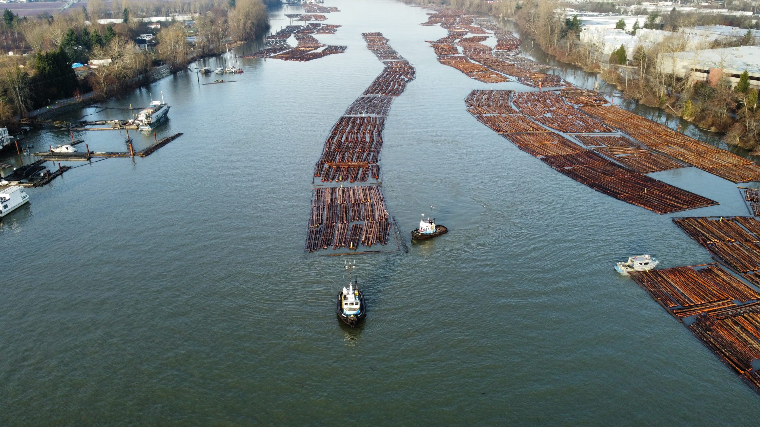 FORESTRY 6 dji export 1642872035032 scaled